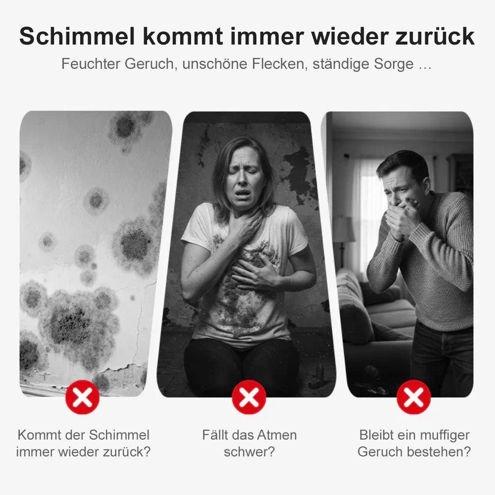 🆙🔥Hochwirksames Schimmelspray – verhindert Schimmelneubildung. 🛡️Schützen Sie Ihre und die Gesundheit Ihrer Familie 🏠