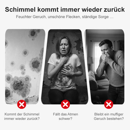 🆙🔥Hochwirksames Schimmelspray – verhindert Schimmelneubildung. 🛡️Schützen Sie Ihre und die Gesundheit Ihrer Familie 🏠