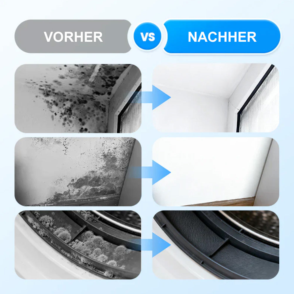 🆙🔥Hochwirksames Schimmelspray – verhindert Schimmelneubildung. 🛡️Schützen Sie Ihre und die Gesundheit Ihrer Familie 🏠
