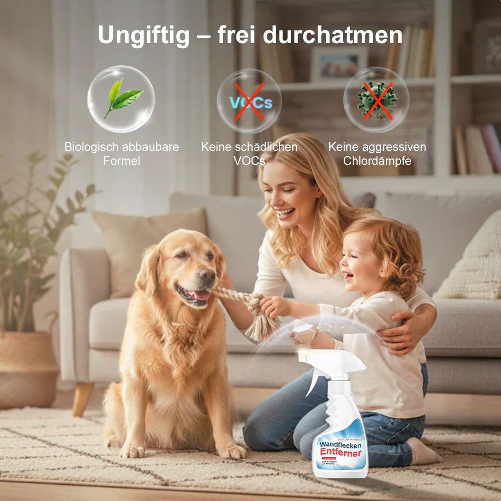 🆙🔥Hochwirksames Schimmelspray – verhindert Schimmelneubildung. 🛡️Schützen Sie Ihre und die Gesundheit Ihrer Familie 🏠